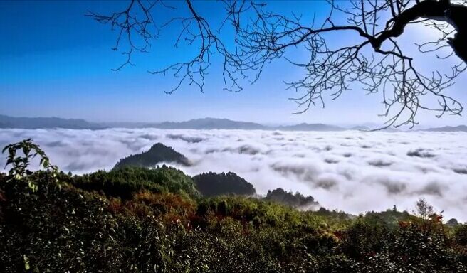 广西第一湾股份打造巴社山生态旅游文化养生项目(图3)