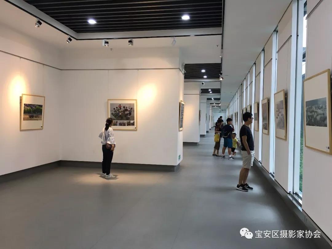 历届全国“群艺杯”摄影艺术展览作品集萃亮相深圳宝安(图15)