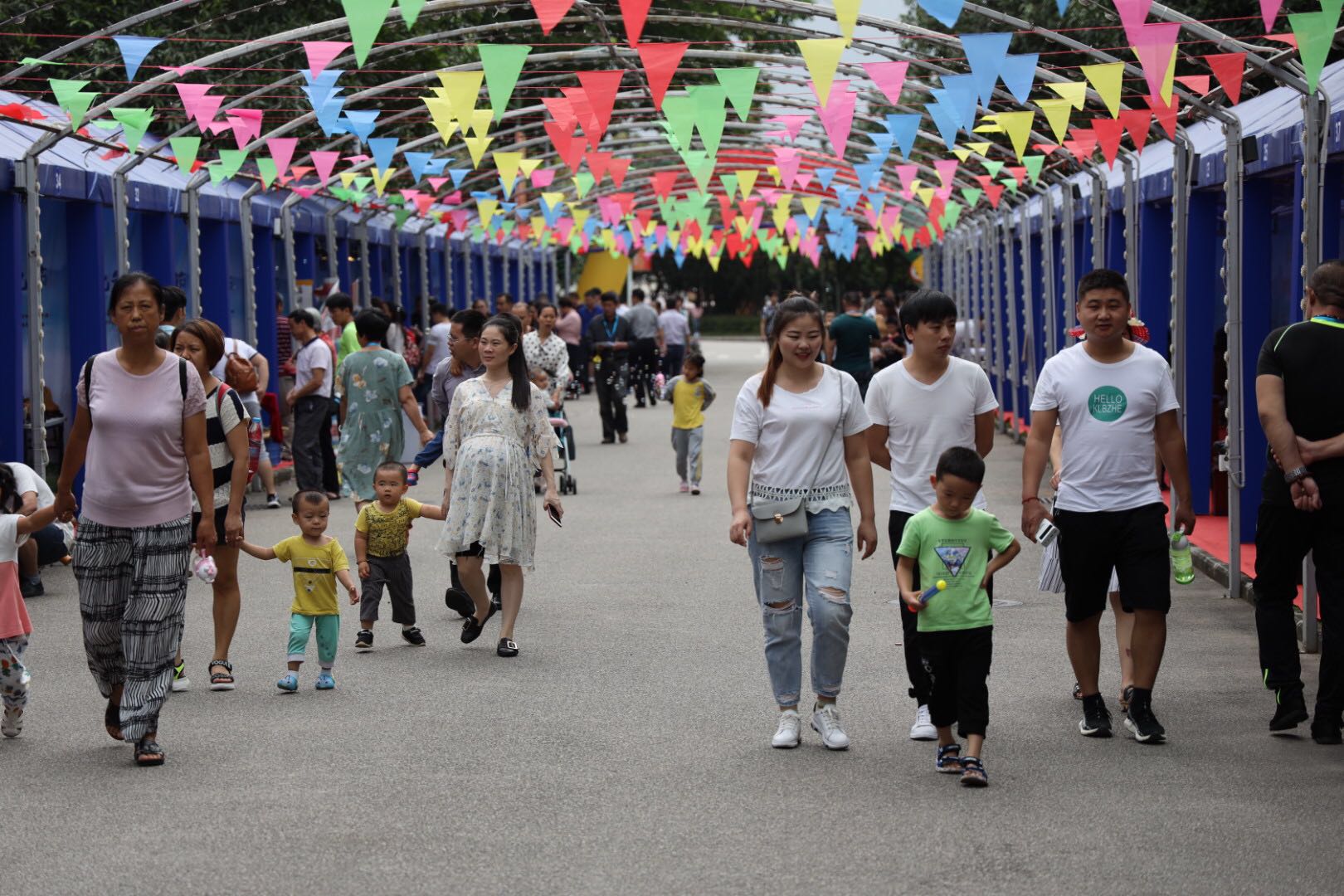 深圳市宝安区第二届赏石文化节5月1日开幕(图2)