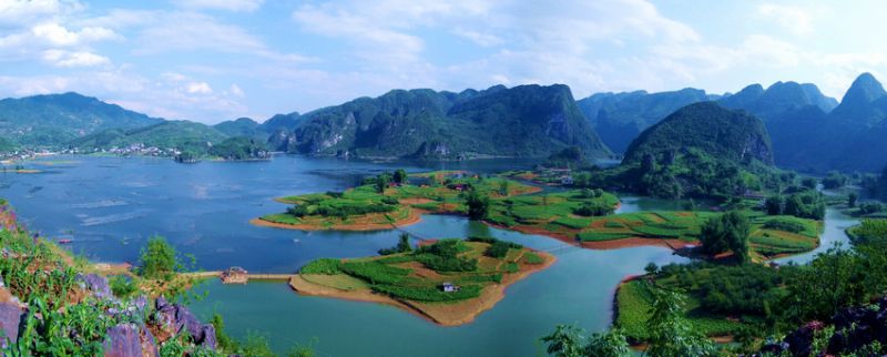 巴马国际旅游区东兰在中山举办春节联欢晚会(图10)