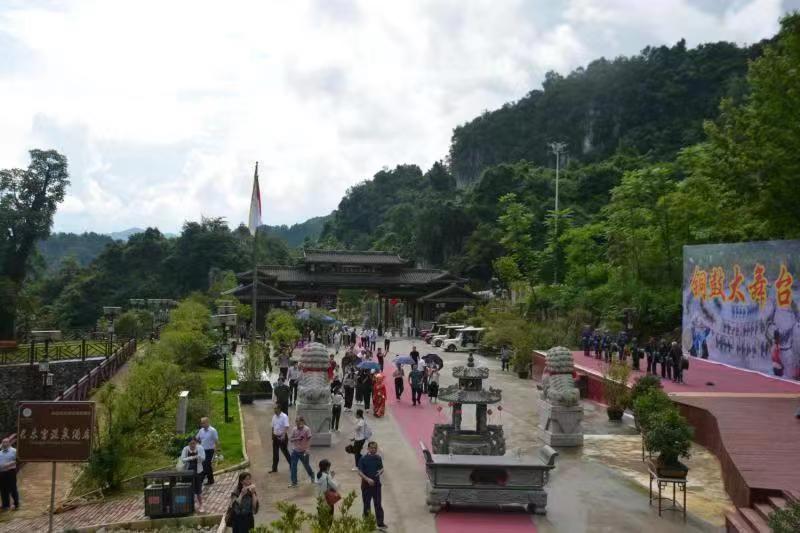 广西党旗领航·乡村旅游嘉年华暨文化旅游助乡村振兴推进会现场观摩在长乐宫举行(图5)