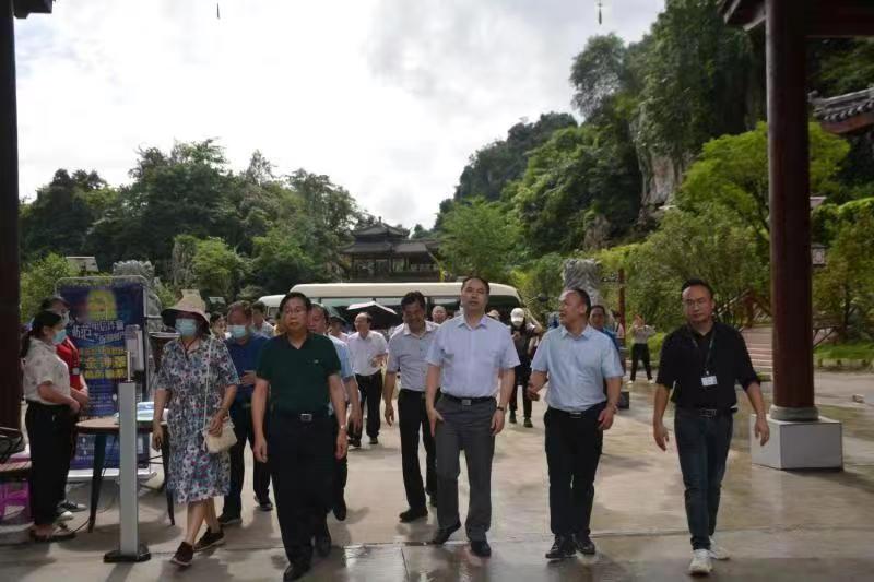 广西党旗领航·乡村旅游嘉年华暨文化旅游助乡村振兴推进会现场观摩在长乐宫举行(图8)