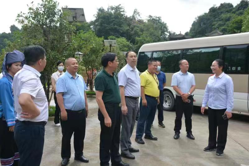 广西党旗领航·乡村旅游嘉年华暨文化旅游助乡村振兴推进会现场观摩在长乐宫举行(图9)