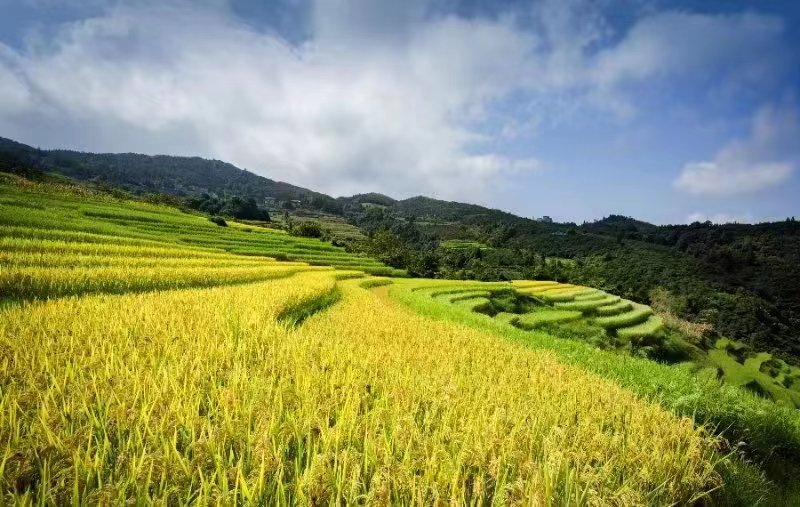 教师节连上中秋节 东兰各大景区为教师送福利(图9)