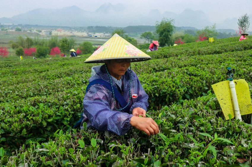 广东农文旅科技工程项目总体规划编制合同签订(图13)