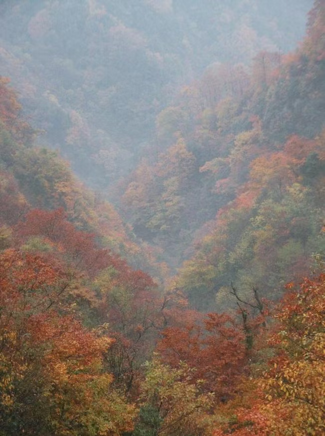 《情怀》诗集入诗(图2)