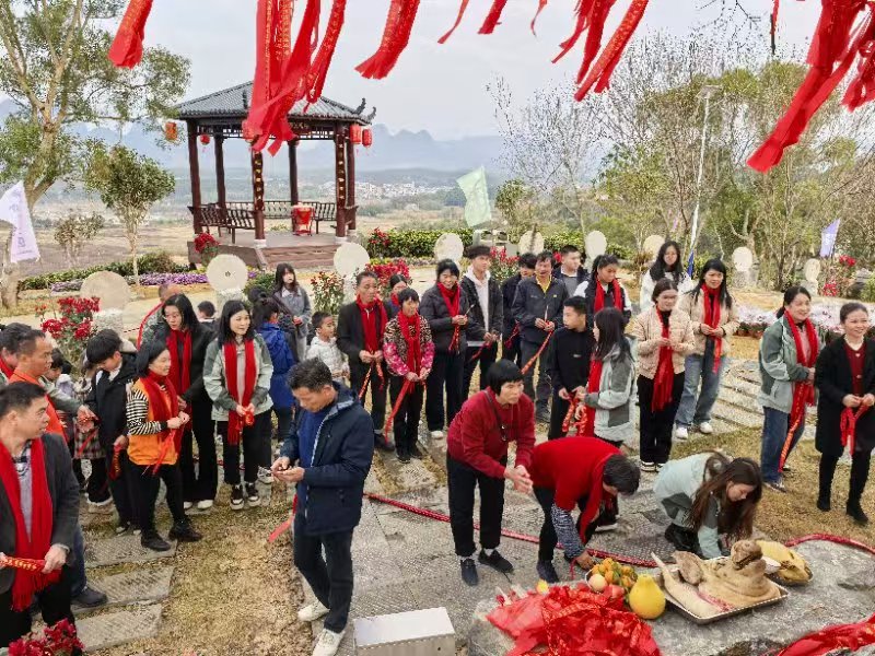 英德茶趣园景区大年初一至初四客流量万人次创新高 正月初四2601人次(图4)