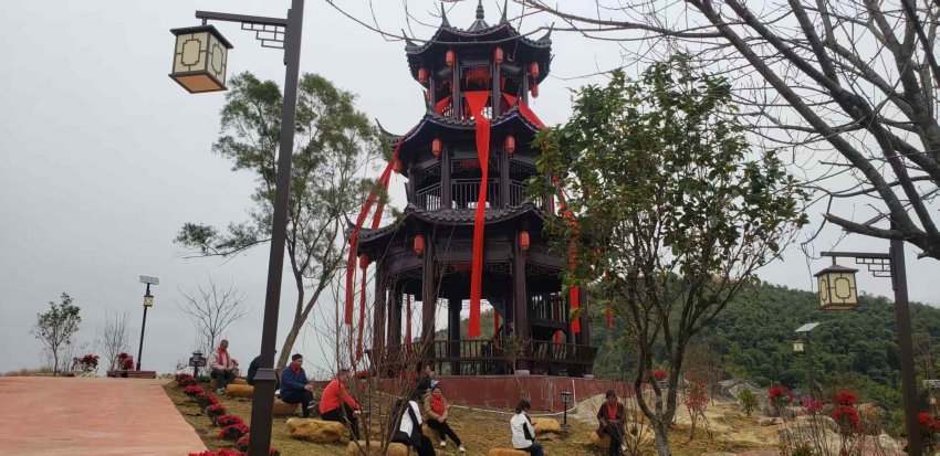 广东英德茶趣园景区感恩回馈 助力家乡文旅发展，年初五雨天客流量仍有1063人次(图3)