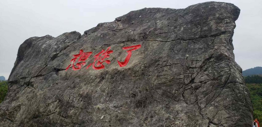 广东英德茶趣园景区感恩回馈 助力家乡文旅发展，年初五雨天客流量仍有1063人次(图6)