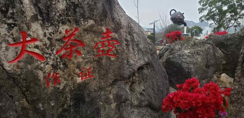 广东英德茶趣园景区感恩回馈 助力家乡文旅发展，年初五雨天客流量仍有1063人次(图12)