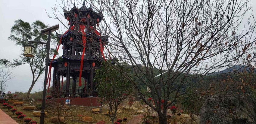 广东英德茶趣园景区感恩回馈 助力家乡文旅发展，年初五雨天客流量仍有1063人次(图13)