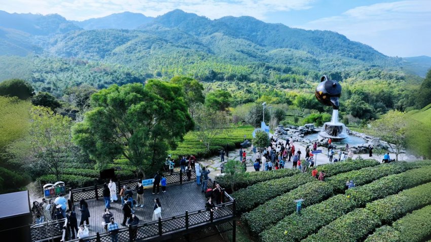 茶趣园景区惠民38元门票含自助餐白天吃到晚，初八客流量1168人次，八天来包括免票7万人次(图4)