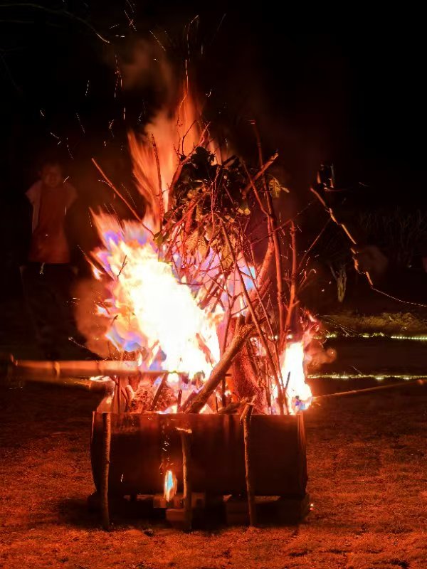 茶趣园景区惠民门票活动盛大开启！超值体验等你来！|茶趣园宴会厅自助餐介绍(图11)