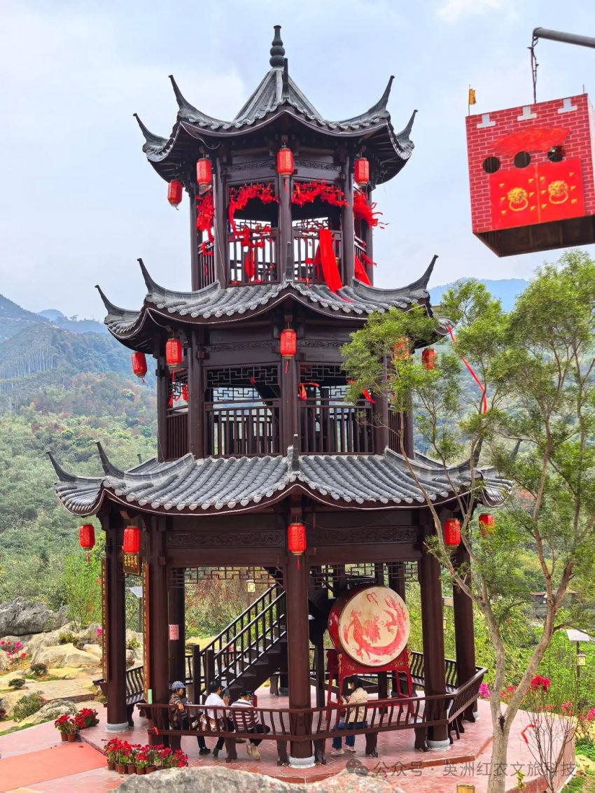五一英德茶趣园热度爆棚，客流量持续飙升！(图4)