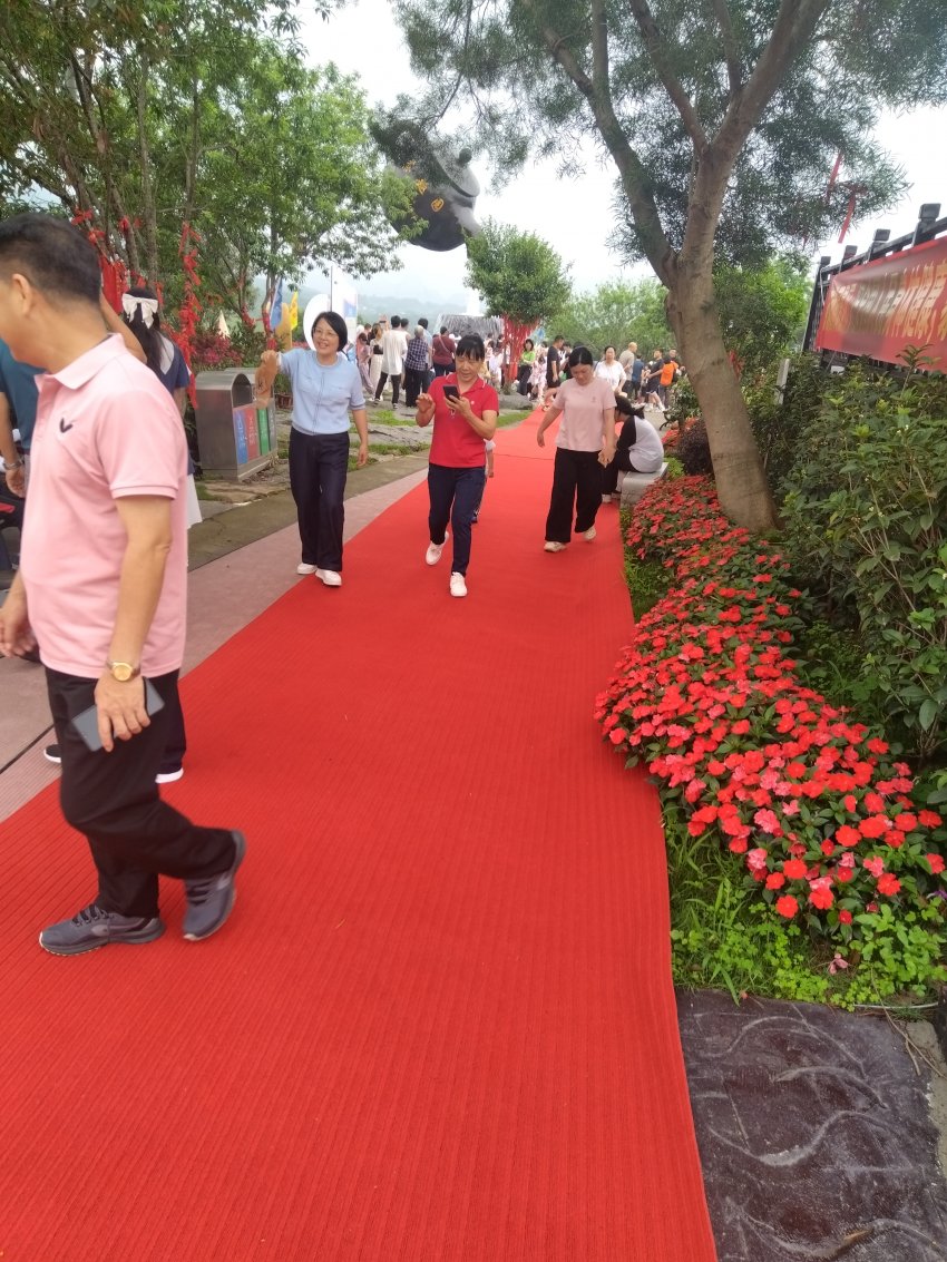五一英德茶趣园热度爆棚，客流量持续飙升！(图9)