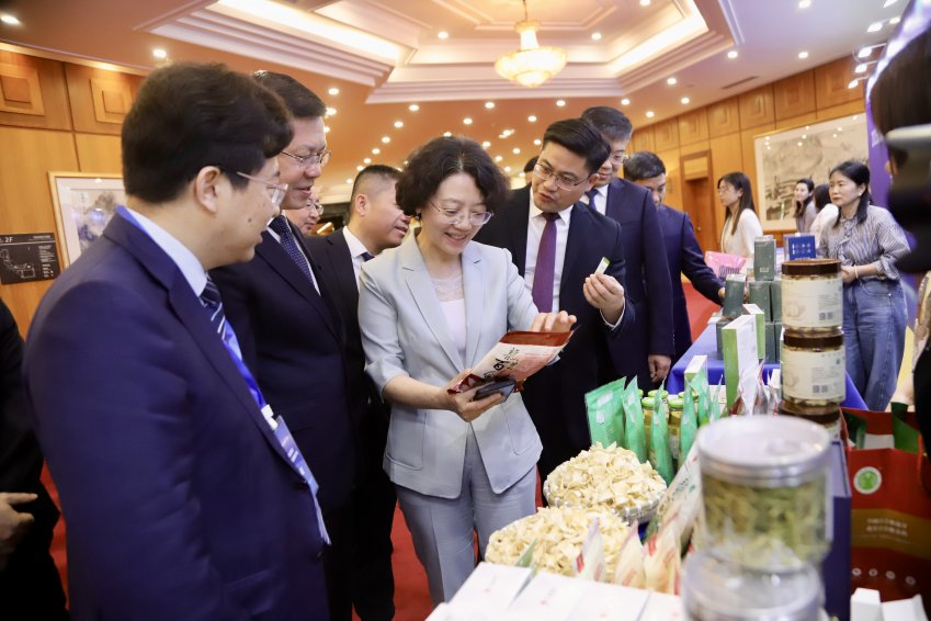 湾区聚势 药香引凤——邵阳中医药产业抢滩粤港澳|药王文化“联姻”湾区资本 千年邵阳按下快进键(图1)
