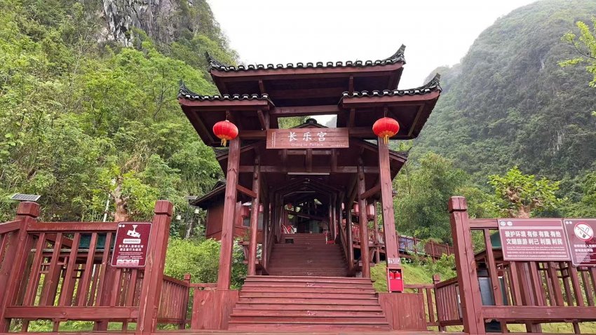 广西东兰长乐宫景区 千年秋枫许愿树 近日引来众多游客(图9)