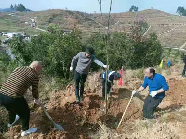 邵阳市北塔区人社局春节后上班第二天 义务植树倡新风(图4)