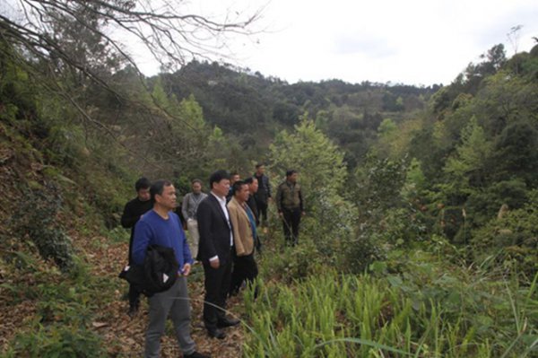 广西第一湾国际旅游股份有限公司董事长吴进枝深入香河漂流景区检查工作(图4)